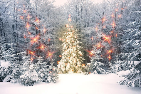 Christmas Photography Backdrops Winter Wonderland Decorations Backgrou –  webackdrops