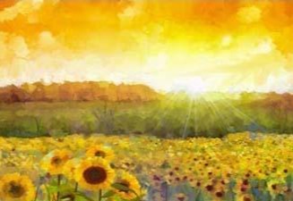 Sunflowers Sunshine Photo Backdrop for Photography WH696