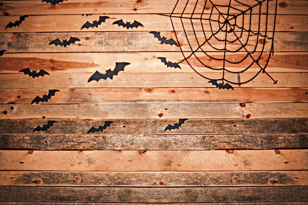 Wood Background with Spider Silk Halloween Backdrops IBD-H19147